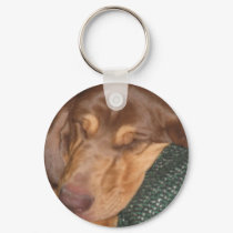 Sleepy Bloodhound keychains