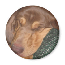 Sleepy Bloodhound magnets by LuraDee Sleepy Bloodhound magnets