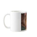 Sleepy Bloodhound Coffee Mugs
