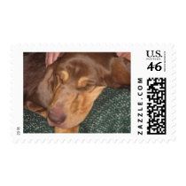 Sleepy Bloodhound postage by LuraDee Sleepy Bloodhound postage