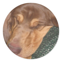 Sleepy Bloodhound stickers by LuraDee Sleepy Bloodhound stickers