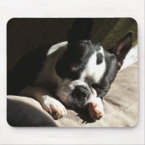 Sleepy Boston mousepads