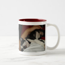 Sleepy boston pup coffee mug