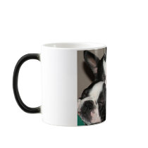 Sleepy Bostons mugs