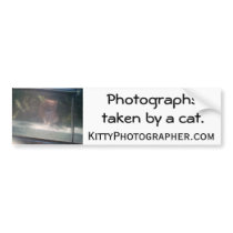 Sleepy Boy bumper sticker