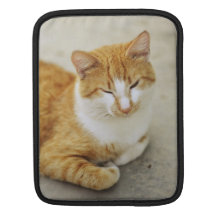 Sleepy cat iPad sleeve