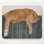 Sleepy Cat Mouse Mats