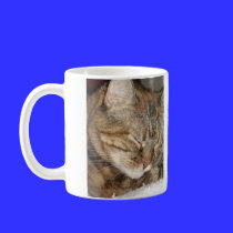 Sleepy Cat mugs