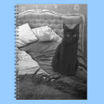 Sleepy Cat notebooks
