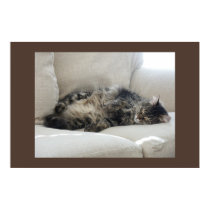 Sleepy Cat posters by mraiford Sleepy Cat posters