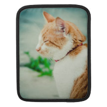 Sleepy cat sleeves for iPads