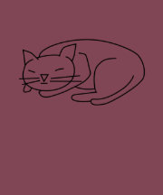 Sleepy Cat T Shirt