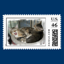 Sleepy Cats postage by raynbow_smile Sleepy Cats postage