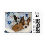 Sleepy Chis postage