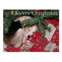 Sleepy Christmas Beagle Postcards