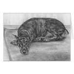 Sleepy Doberman Pinscher Dog Drawing by Kelli Swan cards