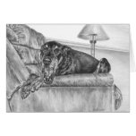 Sleepy Doberman Pinscher Dog Drawing by Kelli Swan cards