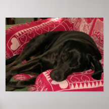 Sleepy Dog Custom Print