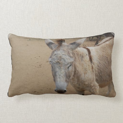 donkey pillow