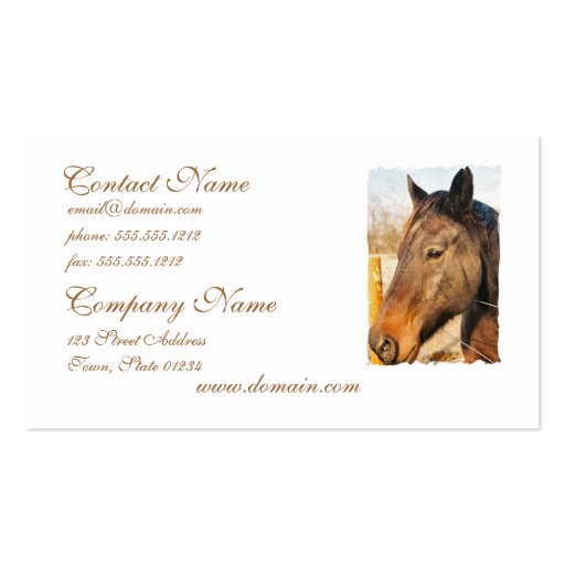 Sleepy Draft Horse Business Cards (front side)