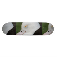 Sleepy Duck Skateboard