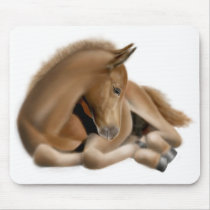 Sleepy Foal Mousepad