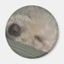 sleepy george magnet