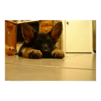Sleepy German Puppy posters by p1mpslap Sleepy German Puppy posters