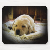 Sleepy Golden Puppy Mousepad by DWoehr Sleepy Golden Puppy Mousepad