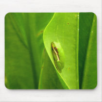 Sleepy Green Frog mousepads by posyrosie Sleepy Green Frog mousepads