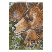 Sleepy Grizzly Bear cards