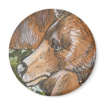 Sleepy Grizzly Bear magnets