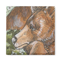 Sleepy Grizzly Bear magnets