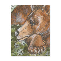 Sleepy Grizzly Bear postcards