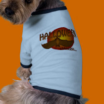 Sleepy Halloween Bat pet clothing