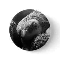 Sleepy Head buttons