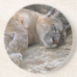 Sleepy Head Drink Coasters