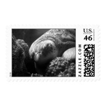 Sleepy Head postage
