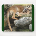 Sleepy Kangaroo mousepads