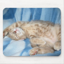 Sleepy Kitten Mousepad by Candys_Cats Sleepy Kitten Mousepad