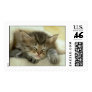 Sleepy Kitten Postage Stamps