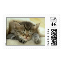 Sleepy Kitten Postage Stamps