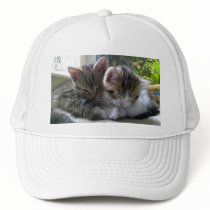 Sleepy Kittens Cap Mesh Hats