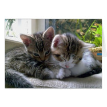 Sleepy Kittens Greeting Card