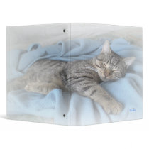 Sleepy Kitty 1.4" Binder