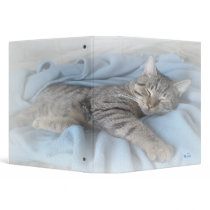 Sleepy Kitty 2.2" Binder