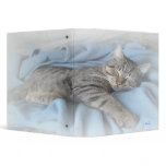 Sleepy Kitty 2.2" Binder
