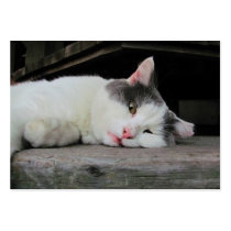 Sleepy Kitty ~ ATC Business Card