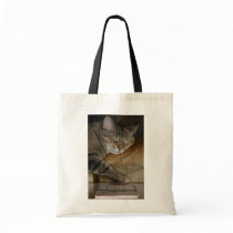 Sleepy Kitty Book Bag