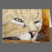 Sleepy Kitty Card cards
